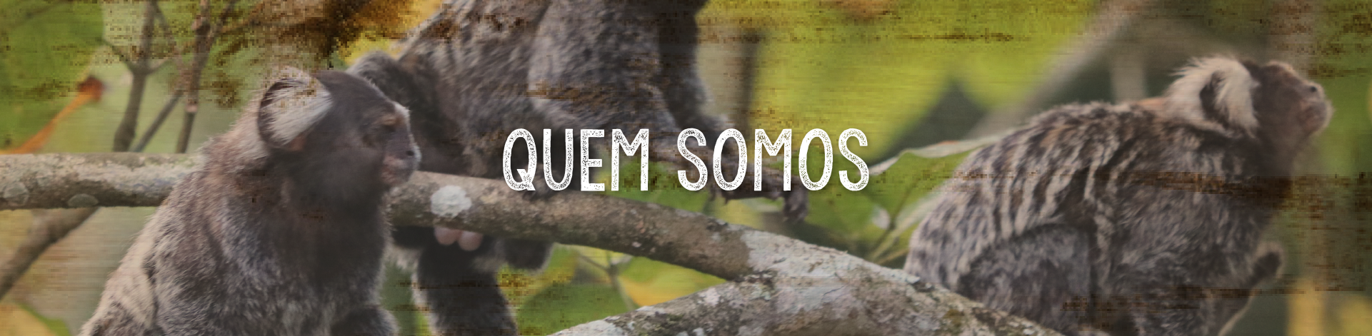 Banner Quem Somos